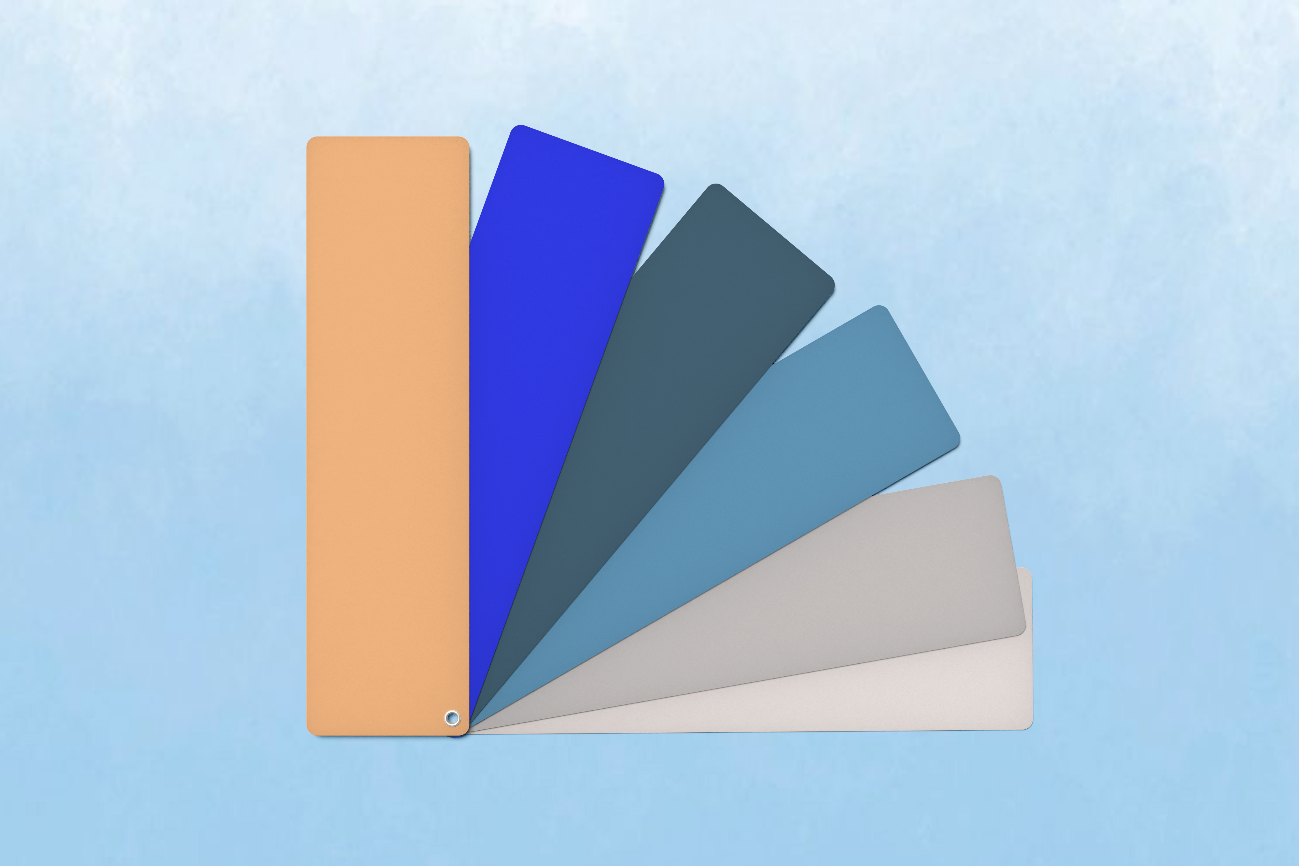 Palette matières Cercle des Dauphins